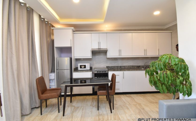 1 bedroom in Nyamirambo for rent plut properties (13)