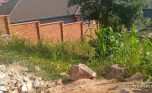 Big plot for sale in Ruyenzi plut properties (1)