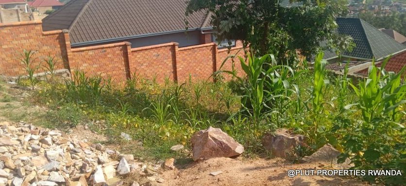 Big plot for sale in Ruyenzi plut properties (1)