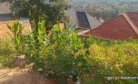 Big plot for sale in Ruyenzi plut properties (4)