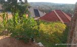Big plot for sale in Ruyenzi plut properties (5)