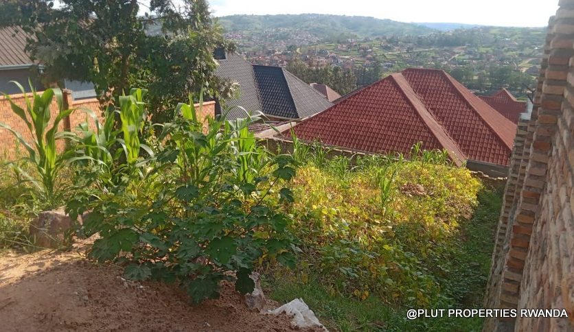 Big plot for sale in Ruyenzi plut properties (5)