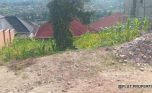 Big plot for sale in Ruyenzi plut properties (6)