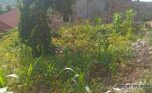 Big plot for sale in Ruyenzi plut properties (8)