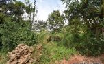Busanza Kigali Big Plot for sale plut properties (2)