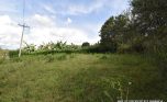 Busanza Kigali Big Plot for sale plut properties (4)