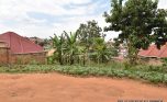 Niboye Big plot for sale plut properties (1)