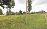 Niboye Big plot for sale plut properties (12)