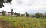 Niboye Big plot for sale plut properties (13)