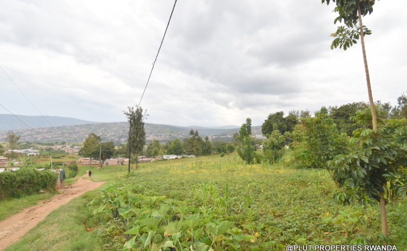 Niboye Big plot for sale plut properties (14)