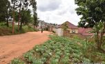 Niboye Big plot for sale plut properties (16)