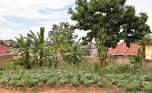 Niboye Big plot for sale plut properties (17)