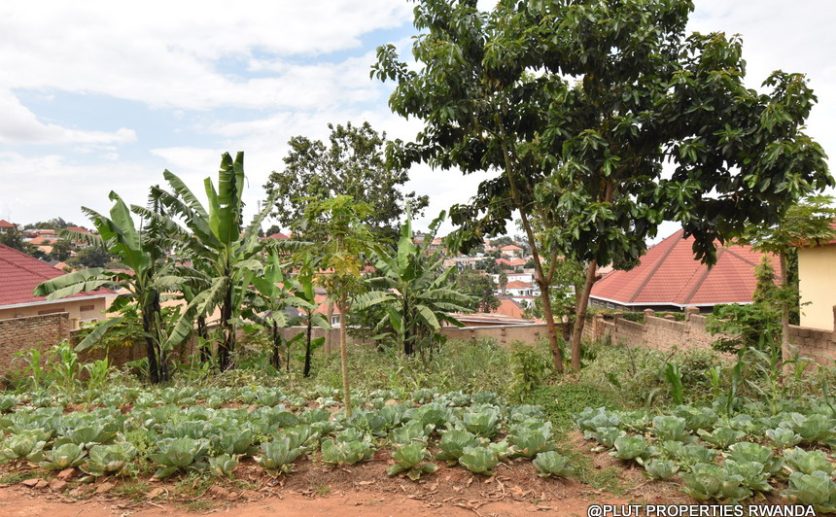 Niboye Big plot for sale plut properties (17)