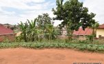Niboye Big plot for sale plut properties (2)