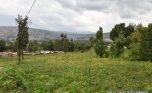 Niboye Big plot for sale plut properties (3)