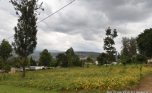 Niboye Big plot for sale plut properties (4)