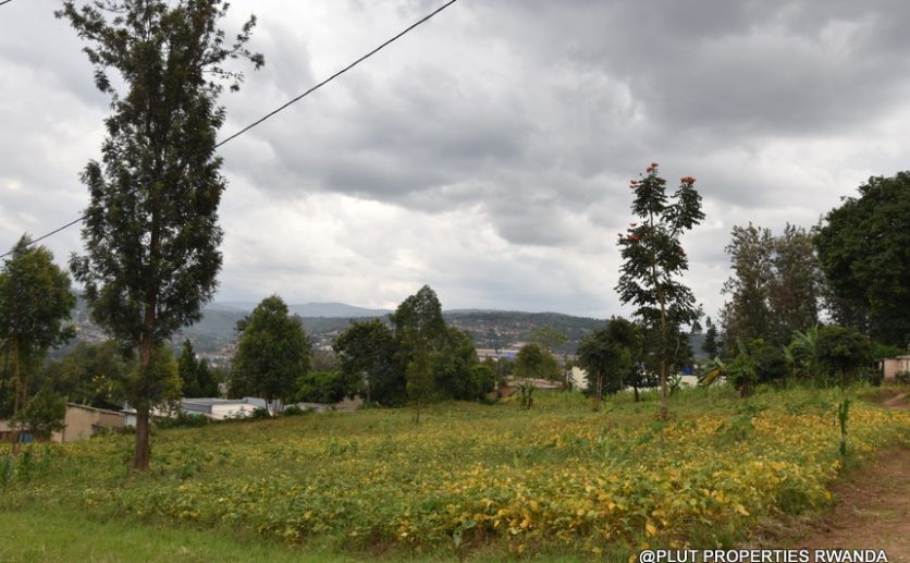 Niboye Big plot for sale plut properties (4)