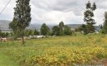 Niboye Big plot for sale plut properties (5)