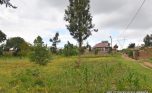 Niboye Big plot for sale plut properties (8)