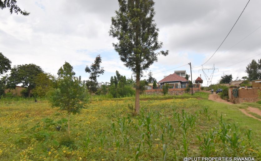 Niboye Big plot for sale plut properties (8)