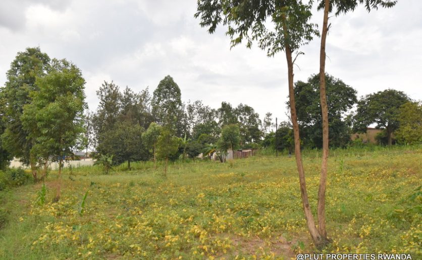 Niboye Big plot for sale plut properties (9)