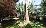 unfurnished house in Kimihurura for rent plut properties (14)
