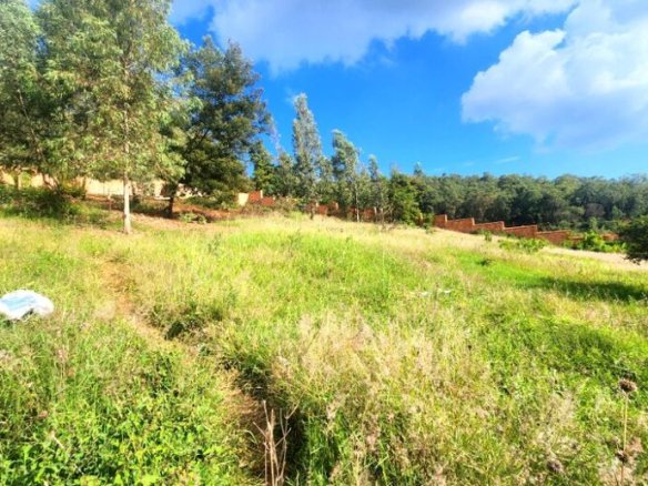 Prime residential plot in Rebero