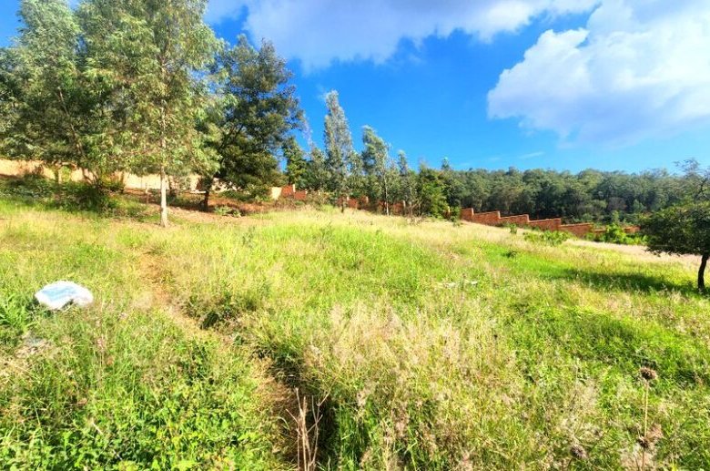Prime residential plot in Rebero