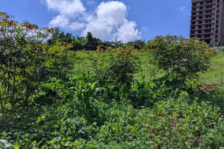 2 big plots for sale in Kicukiro