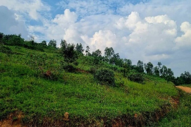 4 Big Plots for Sale in Muyange Kicukiro