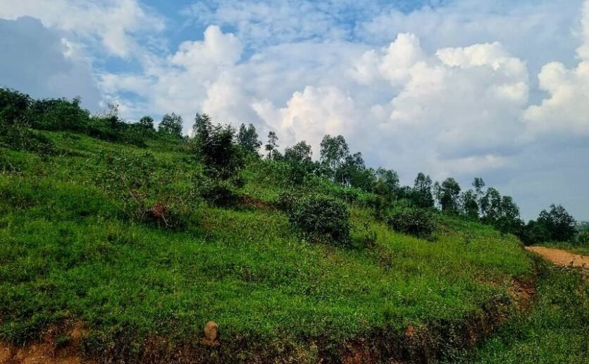 4-Big-plots-for-sale-in-Muyange-plut-properties-1-836×517 4 Big Plots for Sale in Muyange Kicukiro