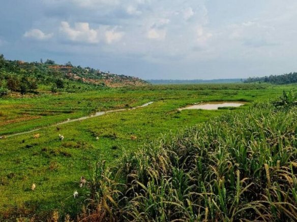 4 Big Plots for Sale in Muyange Kicukiro