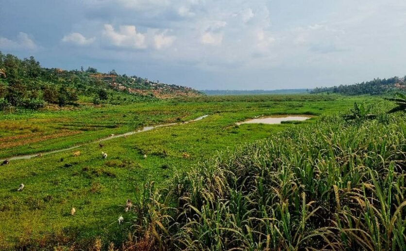 4-Big-plots-for-sale-in-Muyange-plut-properties-10-836×517 4 Big Plots for Sale in Muyange Kicukiro