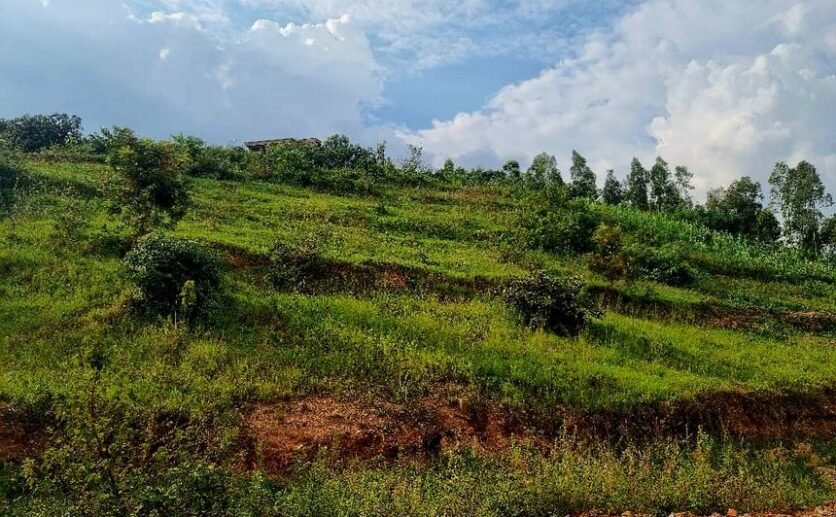 4-Big-plots-for-sale-in-Muyange-plut-properties-11-836×517 4 Big Plots for Sale in Muyange Kicukiro