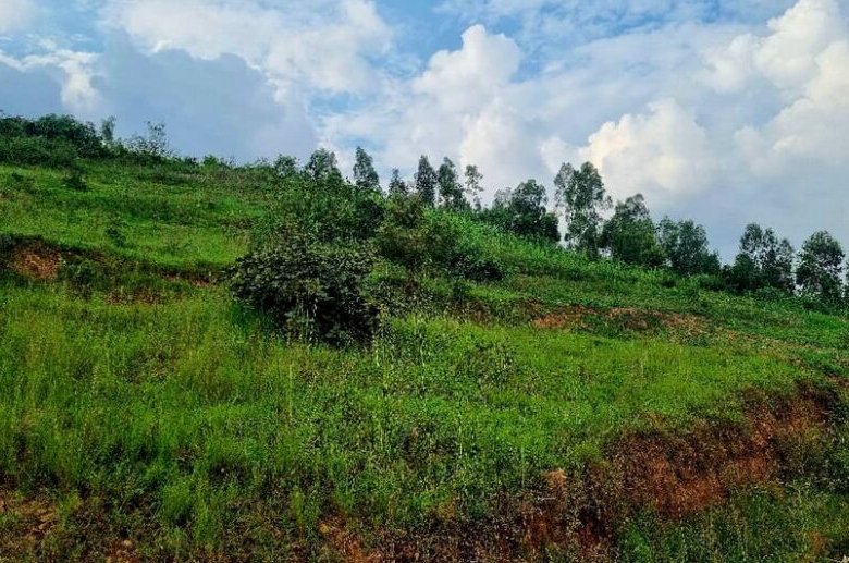 4 Big Plots for Sale in Muyange Kicukiro