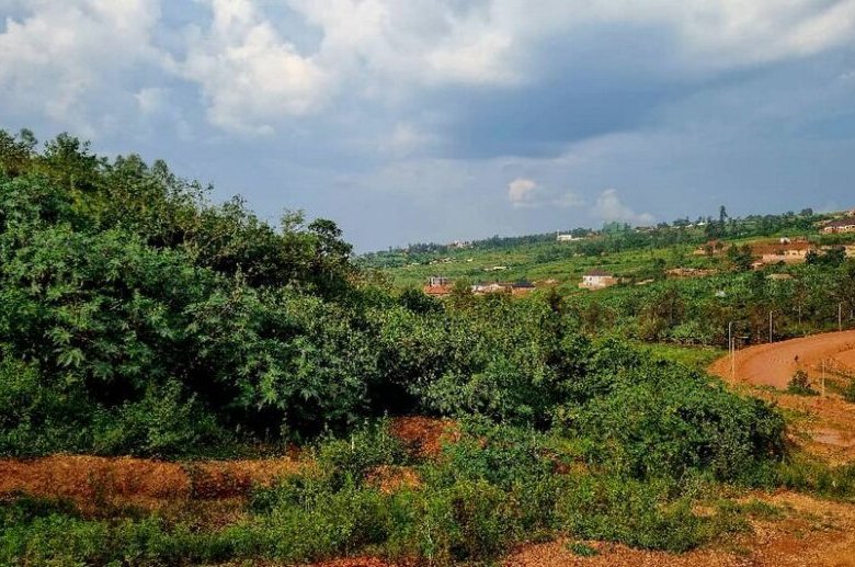 4 Big Plots for Sale in Muyange Kicukiro