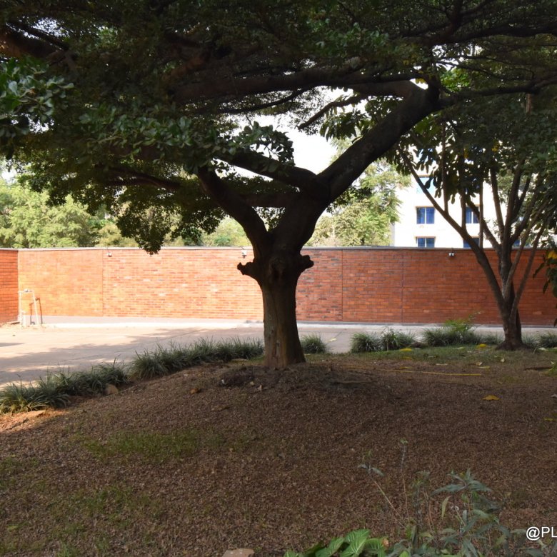 Apartment for Rent in Kacyiru Kigali