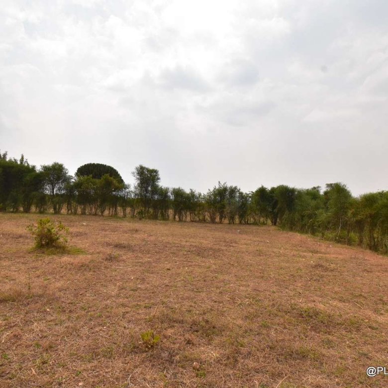 Big Residential land for sale in Bugesera