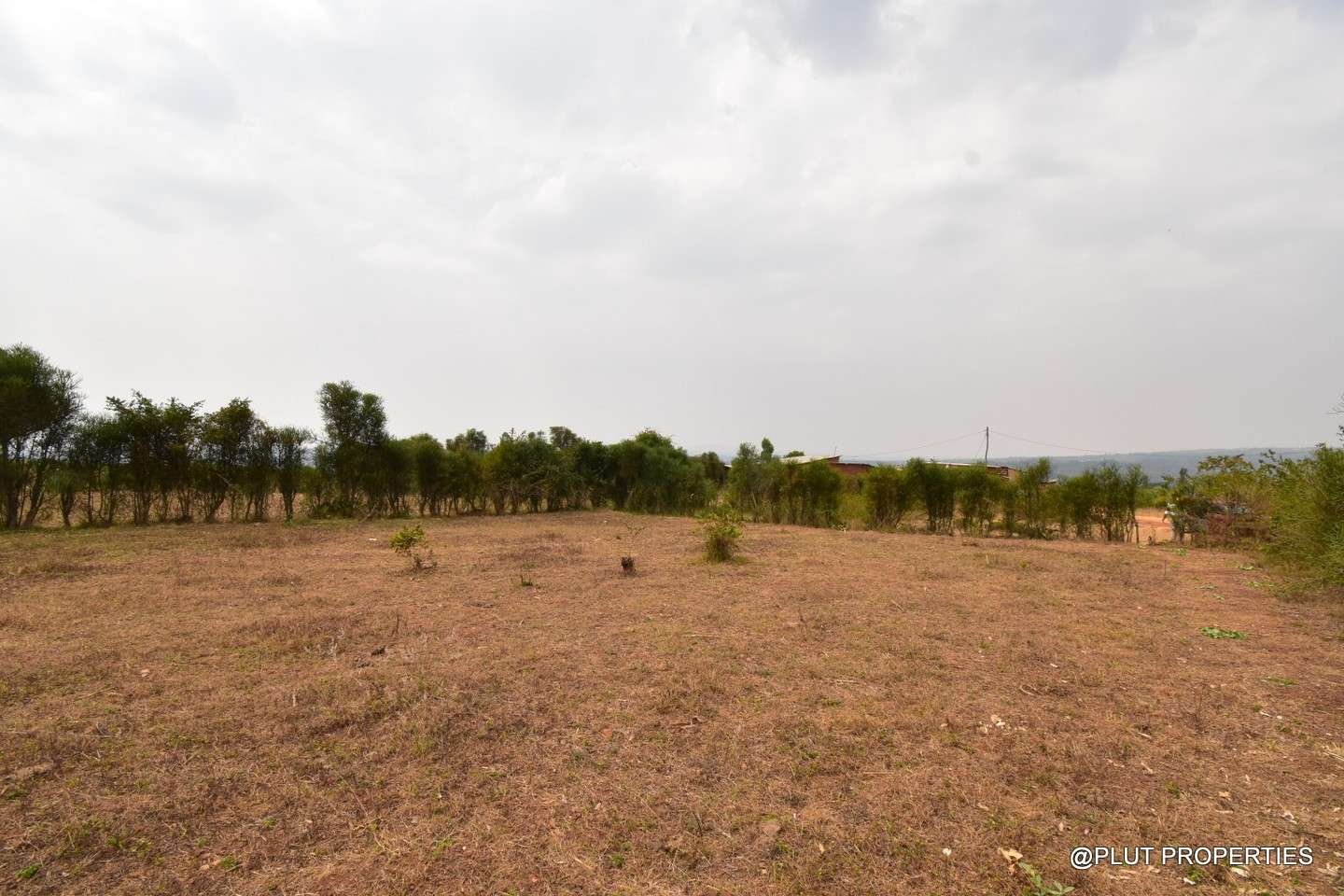 Big Residential land for sale in Bugesera plut properties (2) Big Residential land for sale in Bugesera