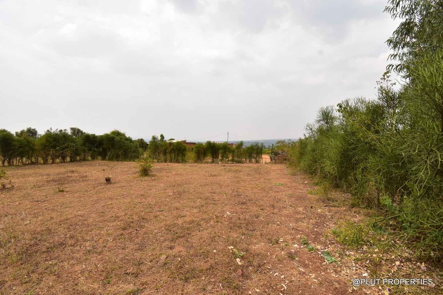 Big Residential land for sale in Bugesera plut properties (4) Big Residential land for sale in Bugesera