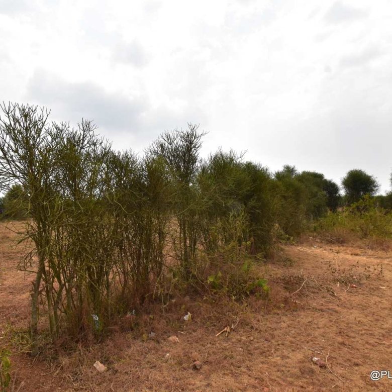 Big Residential land for sale in Bugesera