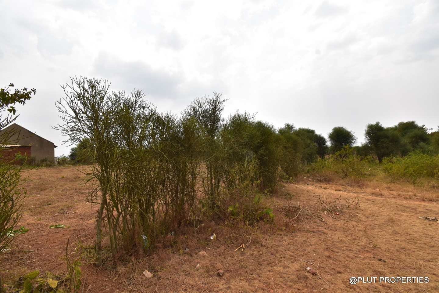 Big Residential land for sale in Bugesera plut properties (5) Big Residential land for sale in Bugesera