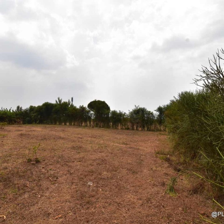 Big Residential land for sale in Bugesera