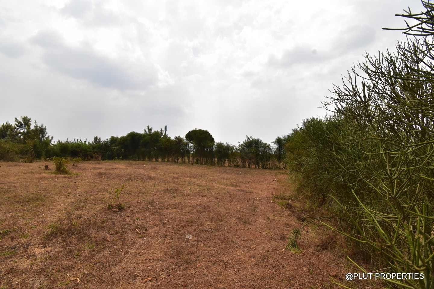 Big Residential land for sale in Bugesera plut properties (8) Big Residential land for sale in Bugesera