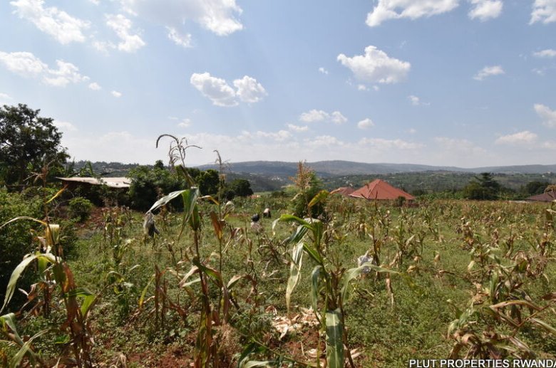 Big plot for sale in Gasogi