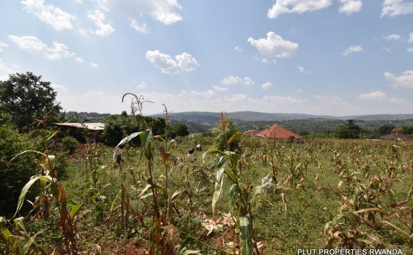 Big-plot-for-sale-in-Gasogi-plut-properties-2-836×517 Big plot for sale in Gasogi