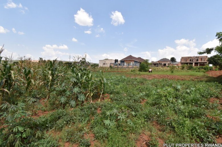 Big plot for sale in Gasogi