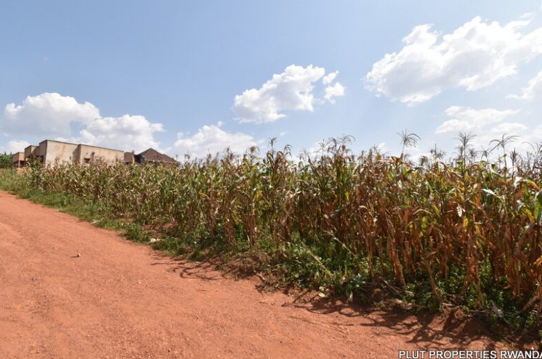 Big plot for sale in Gasogi