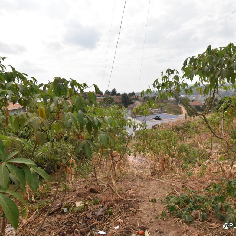 Big plot for sale in Kibagabaga