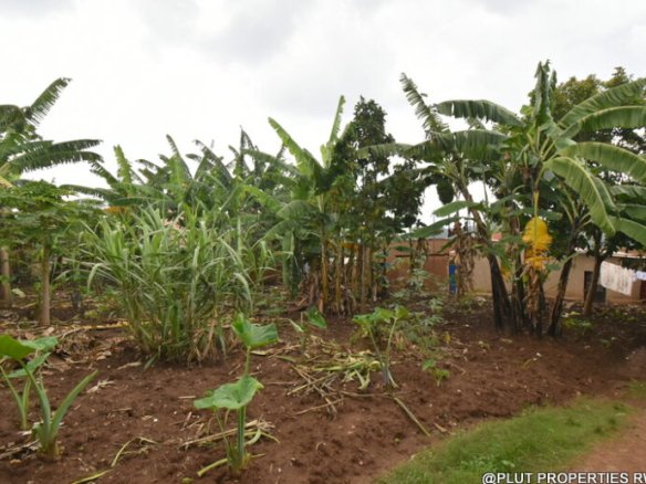Residential Plot for Sale in Kinyinya 